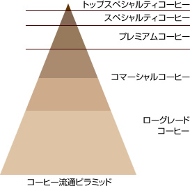コーヒー流通ピラミッド