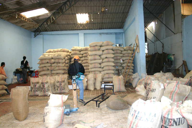 収穫したコーヒー豆の集積所